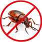 bug-3